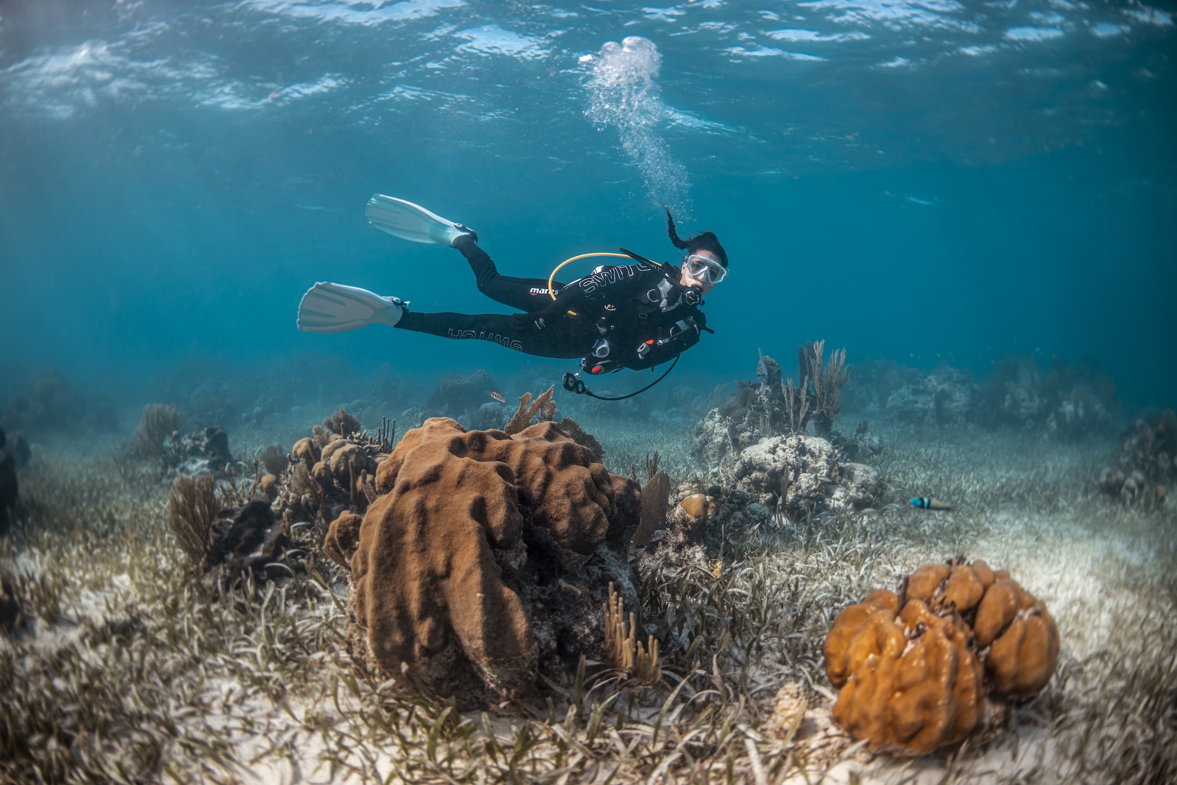 Professional Divemaster training in Nusa Penida, Bali