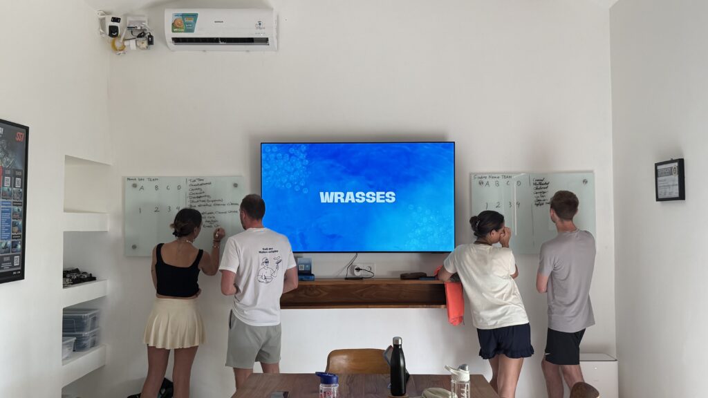 Project Laut interns studying fish identification during REEF survey training in Nusa Penida
