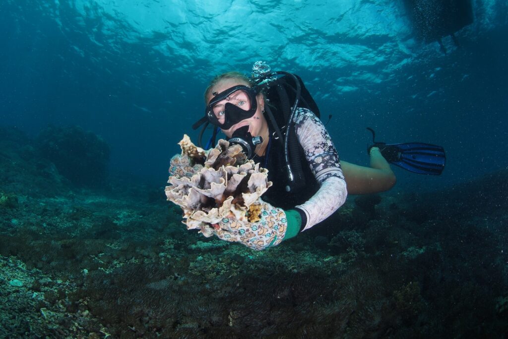 Project Laut Diver holding coral while doing coral restoration activities during their conservation divemaster course in bali