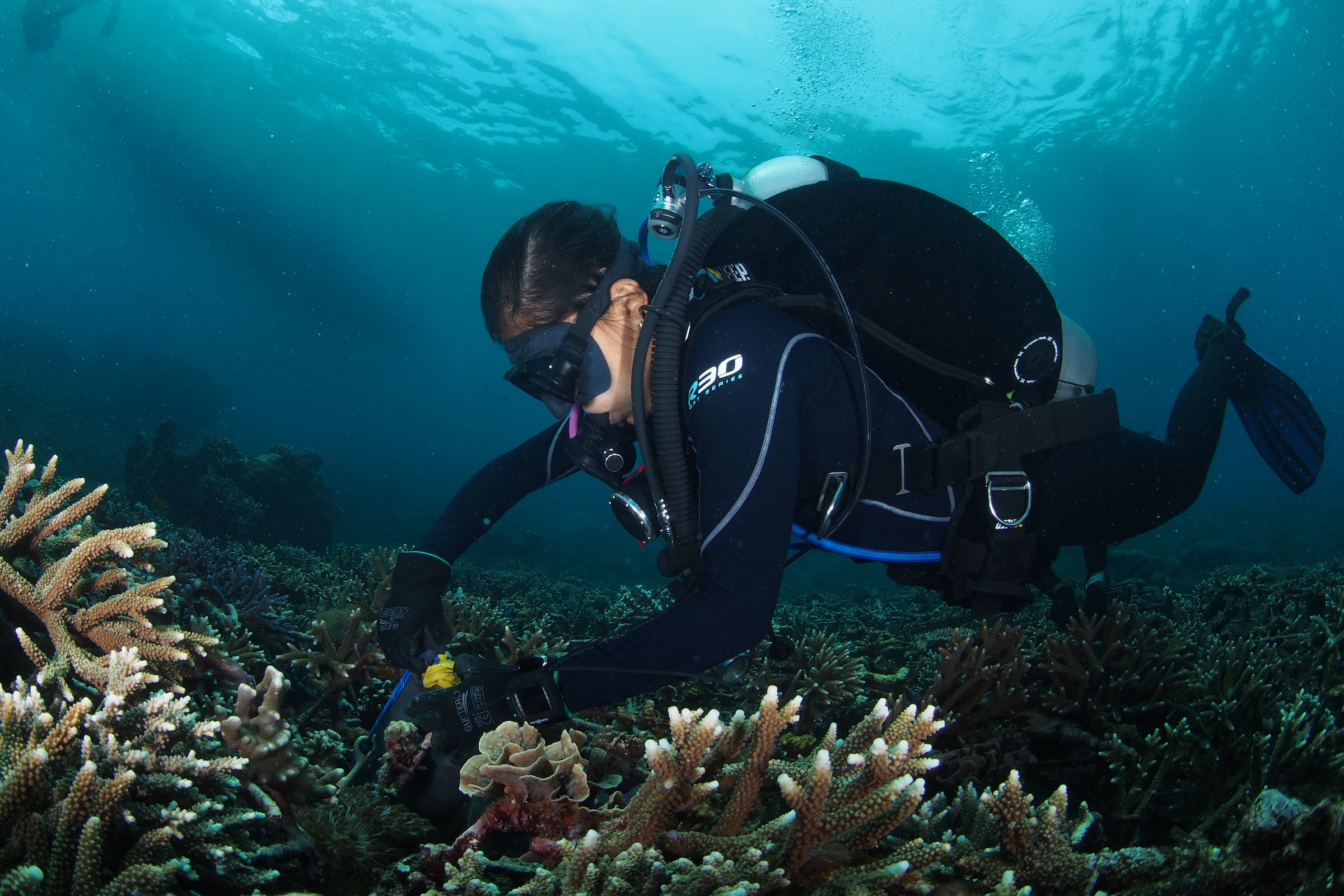 conservation-focused dive professional training in Bali with coral restoration work