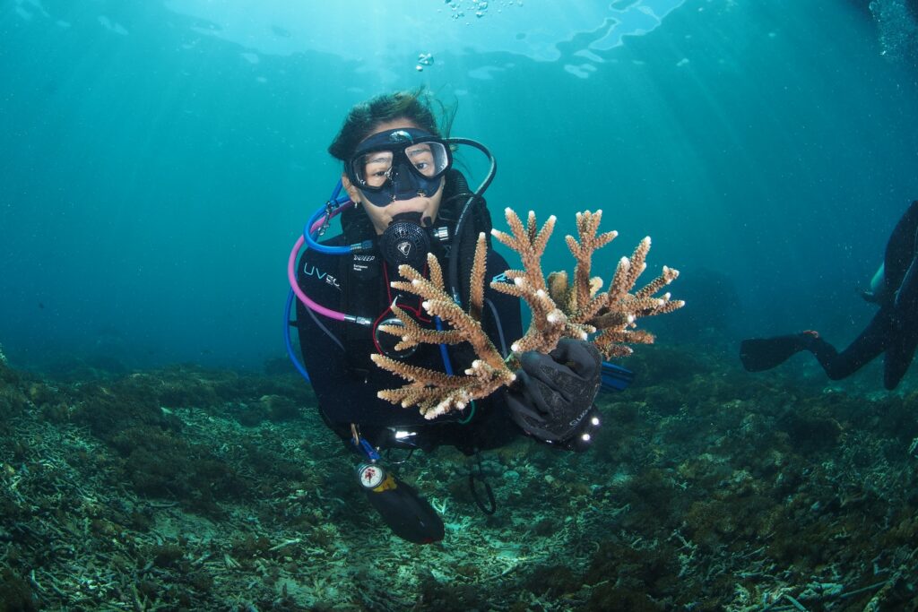 An intern holding acropora coral during one of project laut's marine conservation courses in Bali