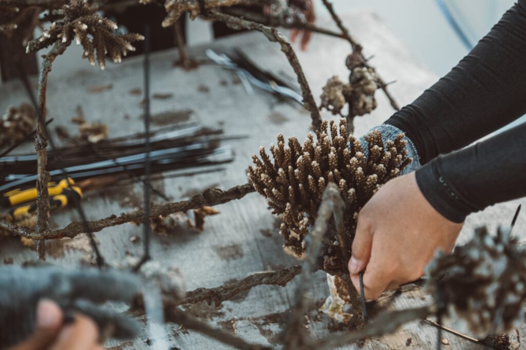 Diver attaching coral for marine conservation projects in Bali with Project Laut