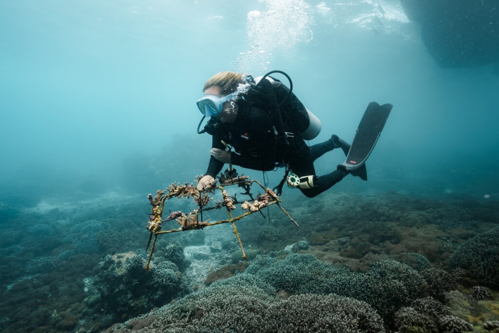 Diver training with a coral structure during a conservation divemaster course in Bali
