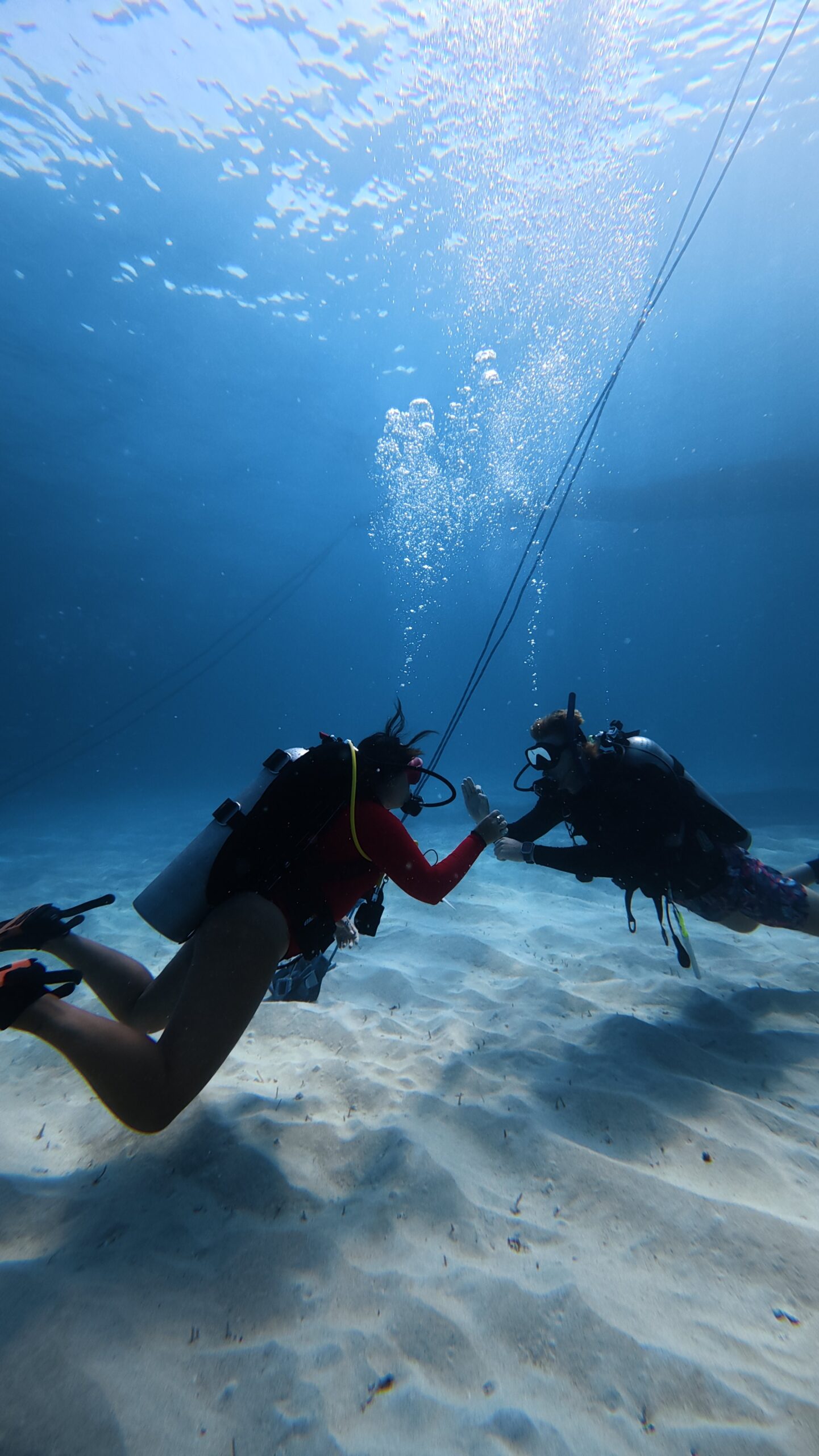 Professional dive training session during the Best Divemaster course in Bali